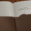 Ivo Andrc - Hid a Drinan - na drini cuprija