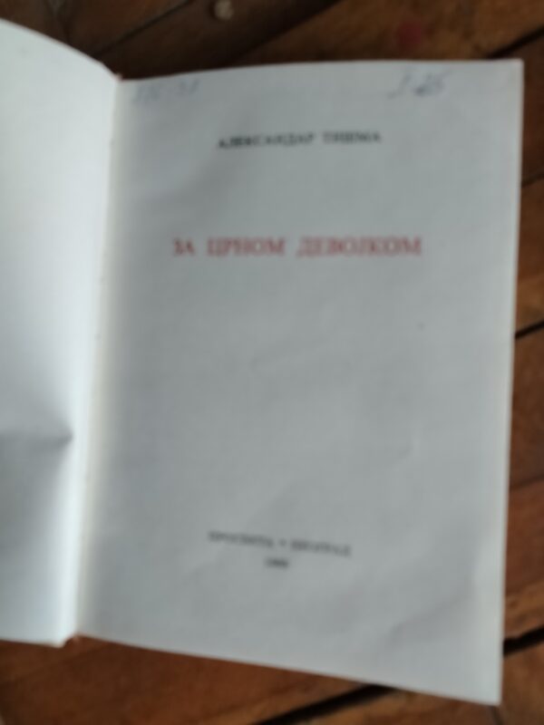 Za crnom devojkom - aleksandar tišma